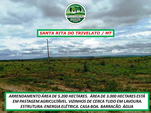 #4577 - Fazenda para Arrendamento em Santa Rita do Trivelato - MT - 3