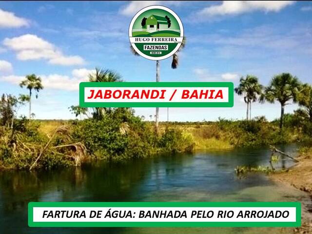 #4588 - Fazenda para Venda em Jaborandi - BA