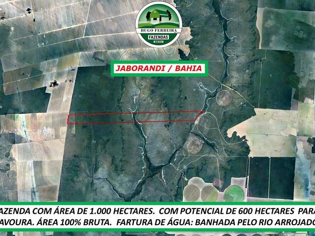  para  em  - 3