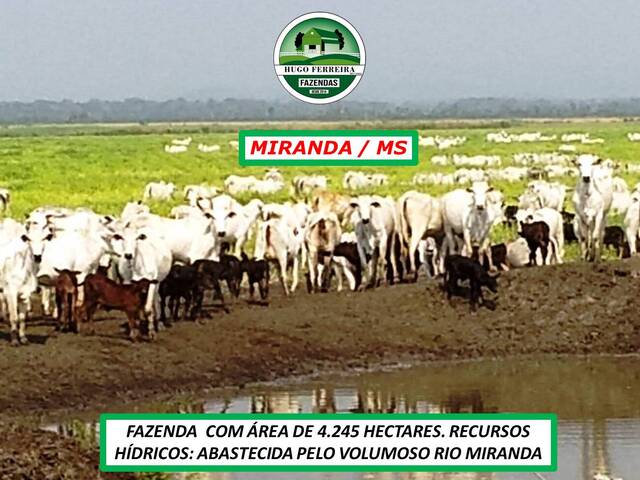 #4611 - Fazenda para Venda em Miranda - MS - 1
