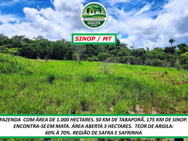 #4624 - Fazenda para Venda em Sinop - MT - 1