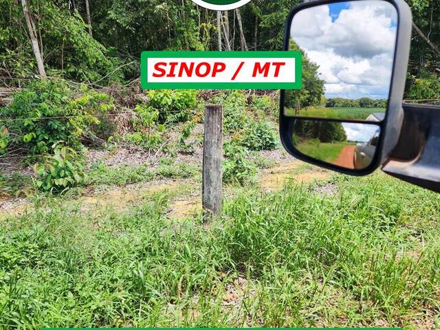 #4624 - Fazenda para Venda em Sinop - MT - 2