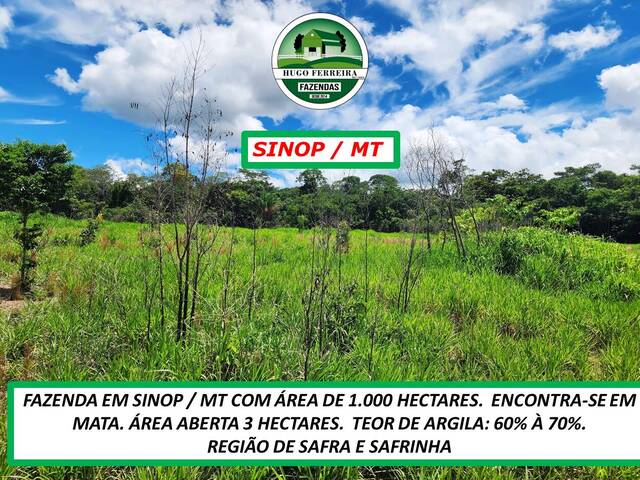 #4624 - Fazenda para Venda em Sinop - MT - 3