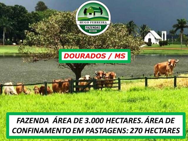 #4646 - Fazenda para Venda em Dourados - MS - 1