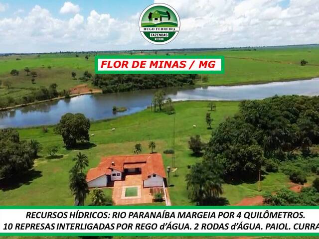 #4455 - Fazenda para Venda em Gurinhatã - MG - 2