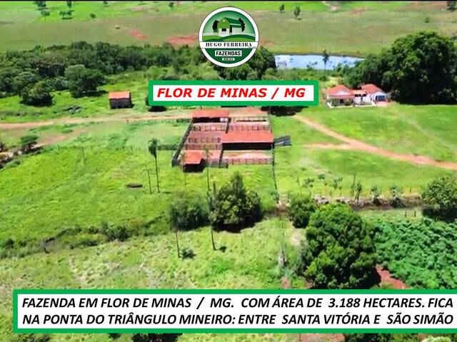 Fazenda para Venda em Gurinhatã - 4