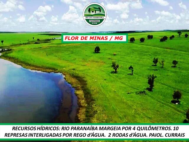 Fazenda para Venda em Gurinhatã - 5