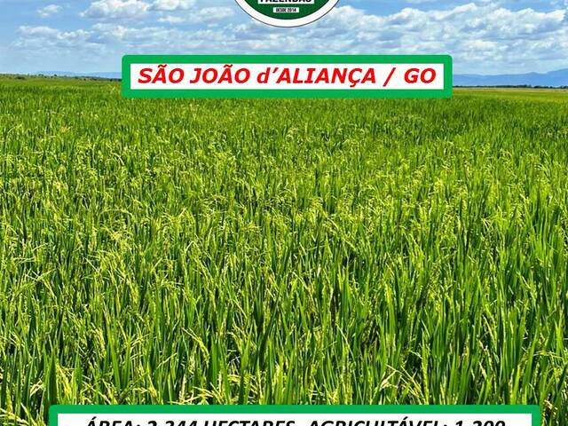 #4655 - Fazenda para Venda em São João d`Aliança - GO - 1