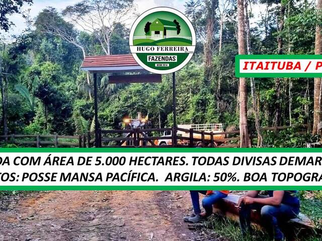 #4677 - Fazenda para Venda em Novo Progresso - PA - 2