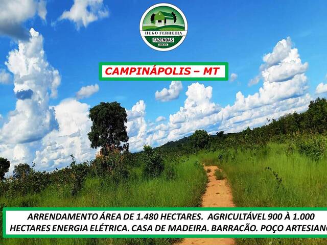 #4690 - Fazenda para Arrendamento em Campinápolis - MT - 3