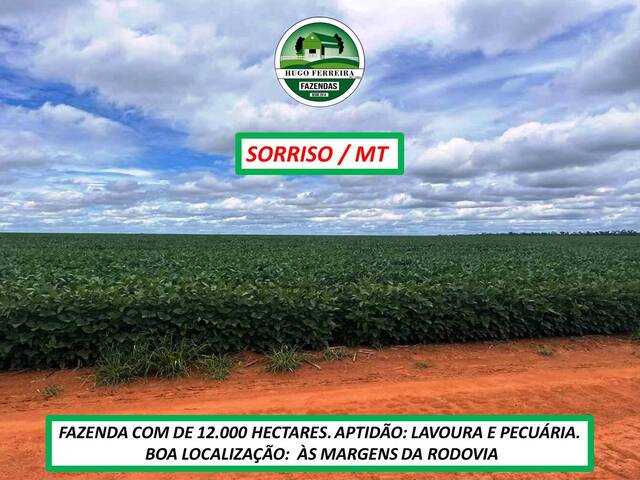 #4722 - Fazenda para Venda em Sorriso - MT - 1