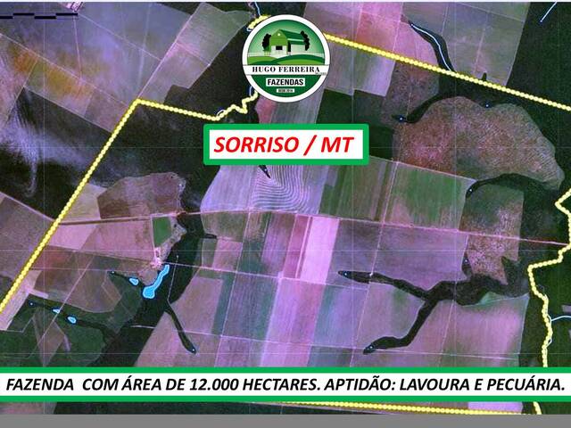 #4722 - Fazenda para Venda em Sorriso - MT - 3