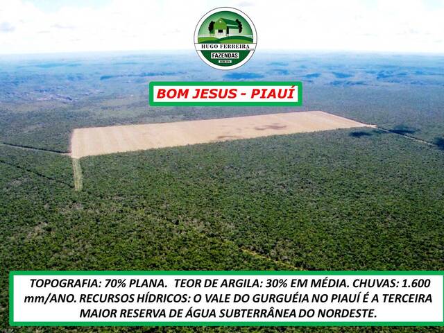 #4733 - Fazenda para Venda em Bom Jesus - PI - 1