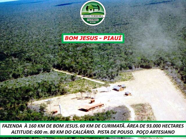 #4733 - Fazenda para Venda em Bom Jesus - PI - 2