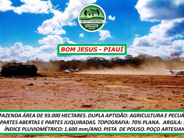 #4733 - Fazenda para Venda em Bom Jesus - PI - 3