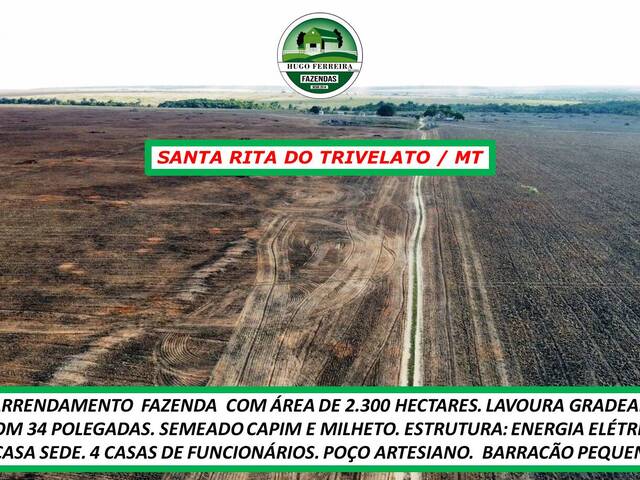 #3909 - Fazenda para Arrendamento em Santa Rita do Trivelato - MT - 3