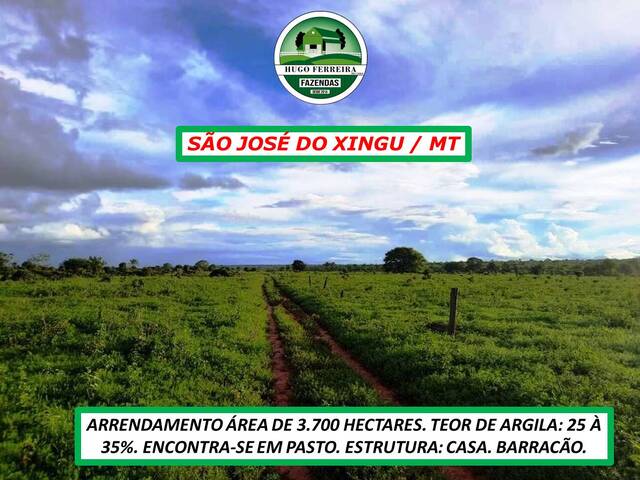 #4747 - Fazenda para Arrendamento em São José do Xingu - MT - 3