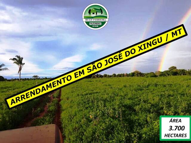 #4747 - Fazenda para Arrendamento em São José do Xingu - MT - 1