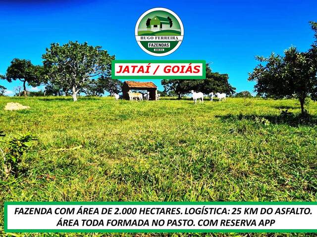 #4770 - Fazenda para Venda em Jataí - GO - 3
