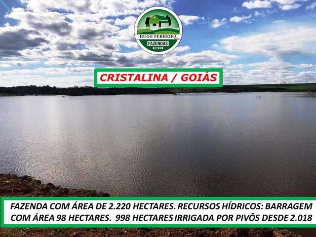 #4800 - Fazenda para Venda em Cristalina - GO - 3