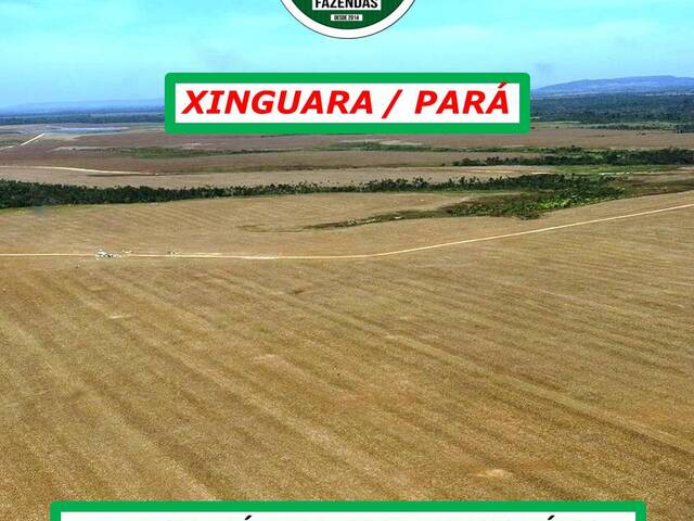 #4822 - Fazenda para Arrendamento em Xinguara - PA - 2