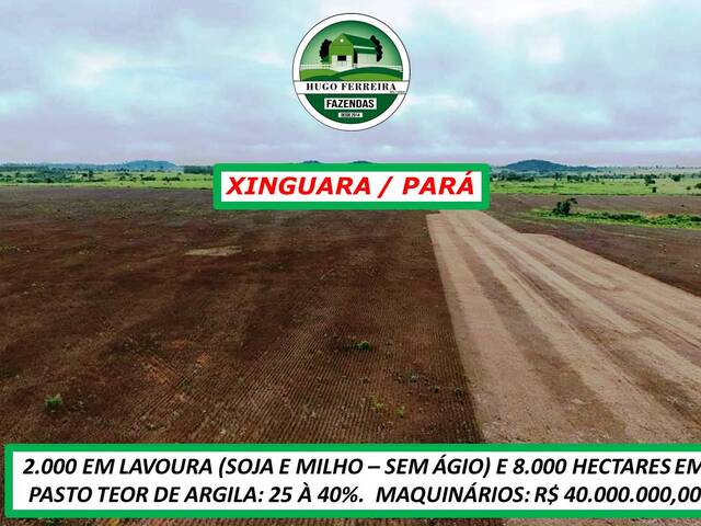 #4822 - Fazenda para Arrendamento em Xinguara - PA - 3