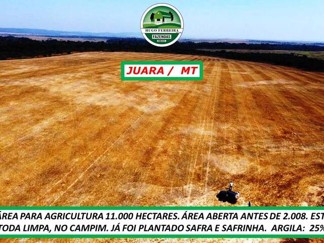 #4833 - Fazenda para Arrendamento em Juara - MT - 3