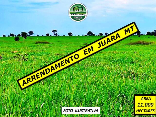 #4833 - Fazenda para Arrendamento em Juara - MT - 1