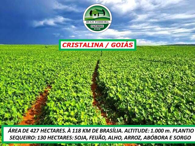 #4844 - Fazenda para Venda em Cristalina - GO - 2