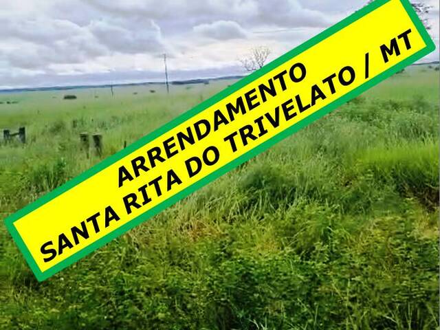 #4900 - Fazenda para Arrendamento em Santa Rita do Trivelato - MT - 2