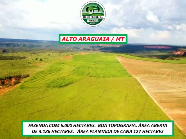 #4919 - Fazenda para Venda em Alto Araguaia - MT - 2