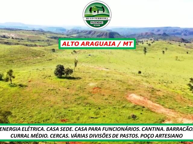 #4919 - Fazenda para Venda em Alto Araguaia - MT - 3