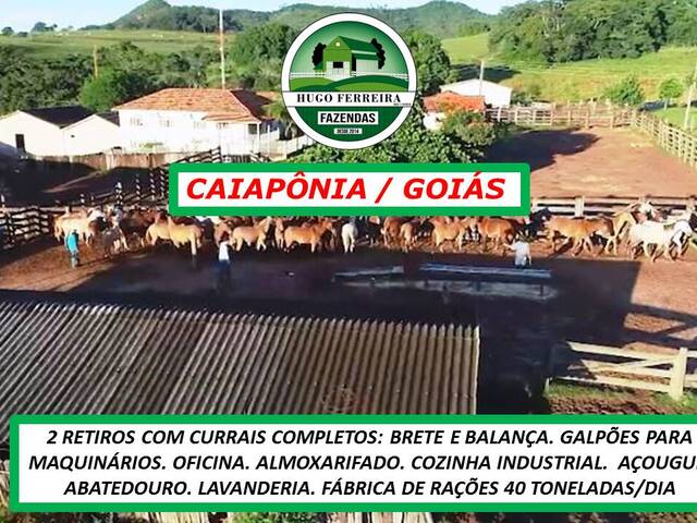 #4933 - Fazenda para Venda em Caiapônia - GO - 2