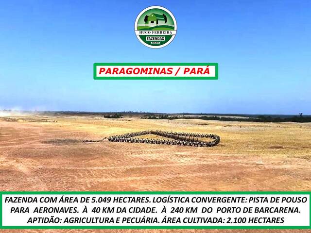  para  em  - 4