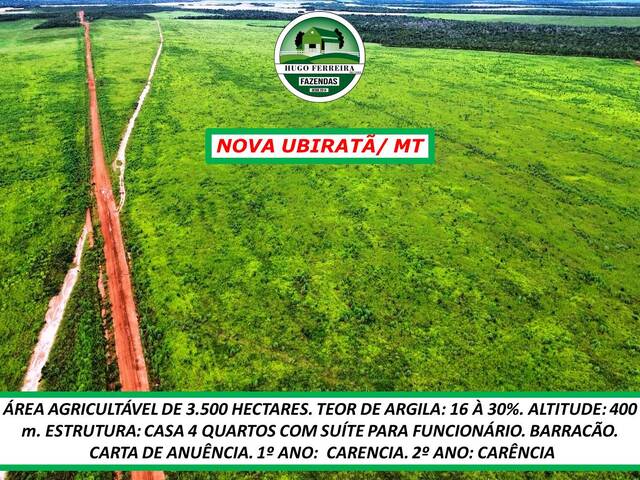 #4966 - Fazenda para Arrendamento em Nova Ubiratã - MT - 2