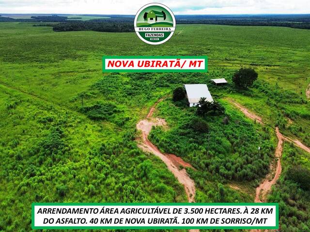 #4966 - Fazenda para Arrendamento em Nova Ubiratã - MT - 3