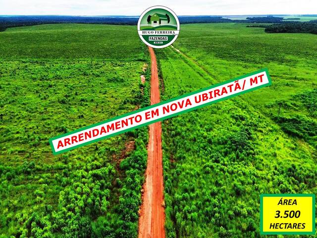 #4966 - Fazenda para Arrendamento em Nova Ubiratã - MT - 1