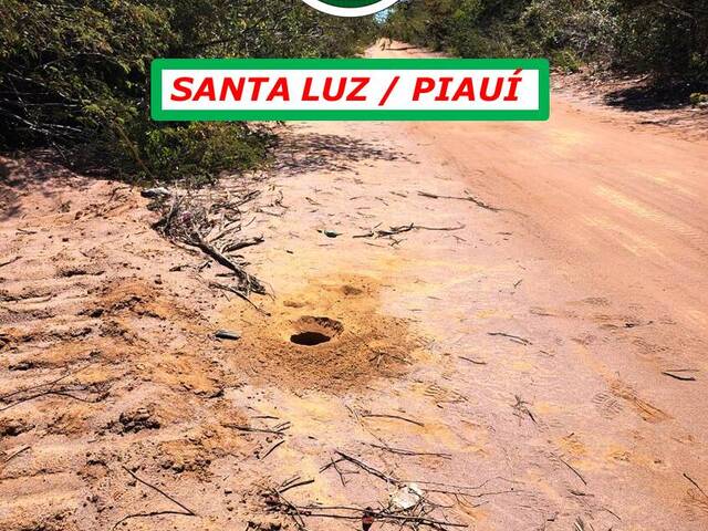 #4977 - Fazenda para Venda em Santa Luz - PI - 2
