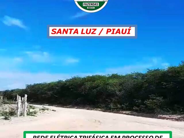 #4977 - Fazenda para Venda em Santa Luz - PI - 1