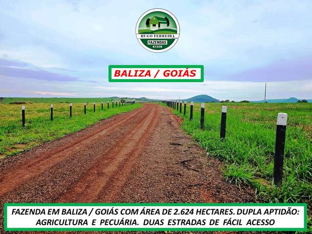 #4988 - Chácara para Venda em Baliza - GO - 2