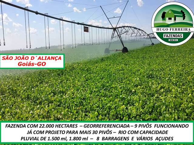 #5000 - Fazenda para Venda em São João d`Aliança - GO - 1