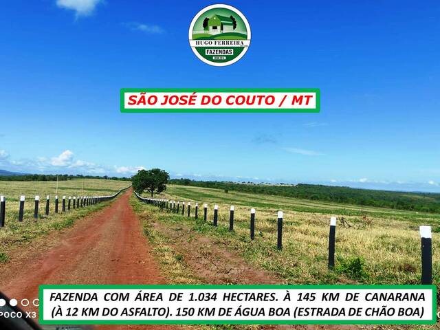 #4354 - Fazenda para Venda em Campinápolis - MT - 3