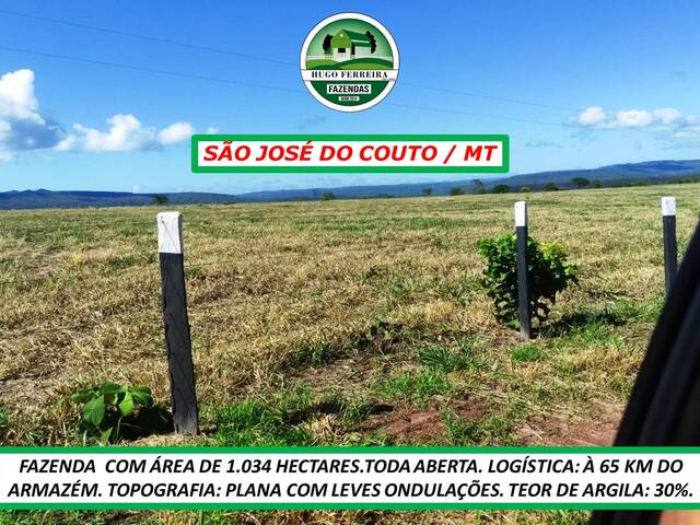  para  em  - 4