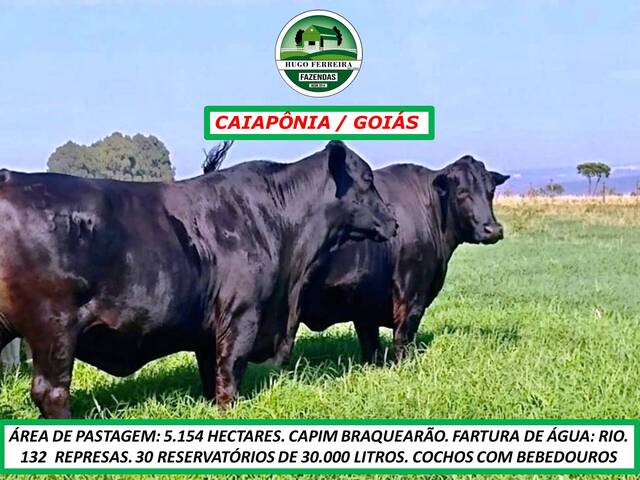 #5030 - Fazenda para Venda em Caiapônia - GO - 1