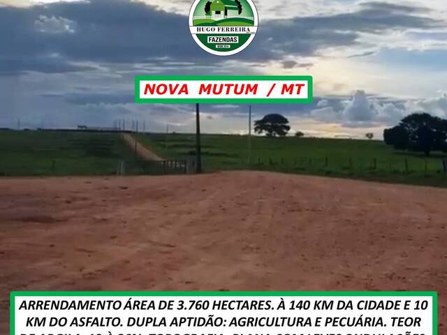 #5083 - Chácara para Arrendamento em Nova Mutum - MT - 2
