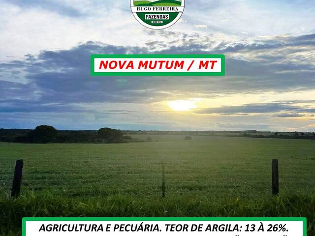 #5083 - Chácara para Arrendamento em Nova Mutum - MT - 3