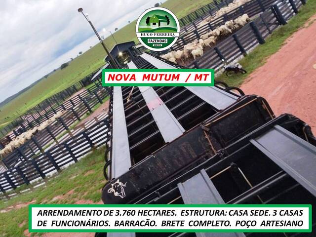  para  em  - 4