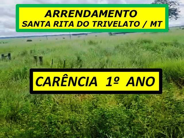 #4900 - Fazenda para Arrendamento em Santa Rita do Trivelato - MT - 1