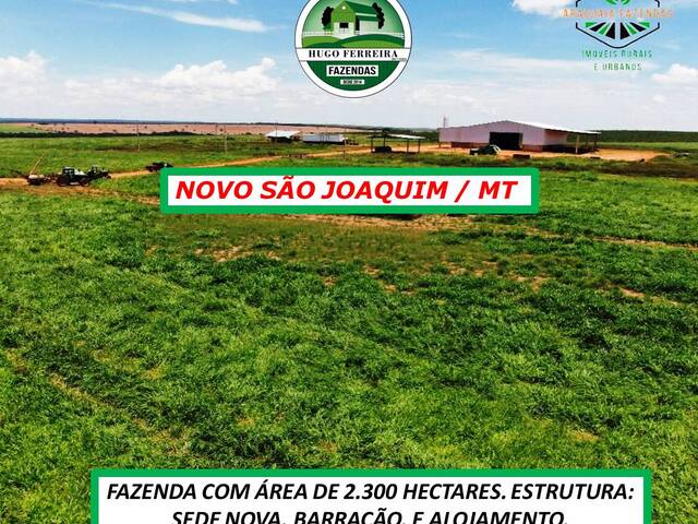  para  em  - 4