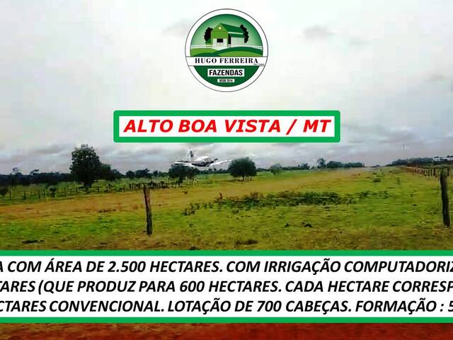 #5151 - Fazenda para Venda em Alto Boa Vista - MT - 3